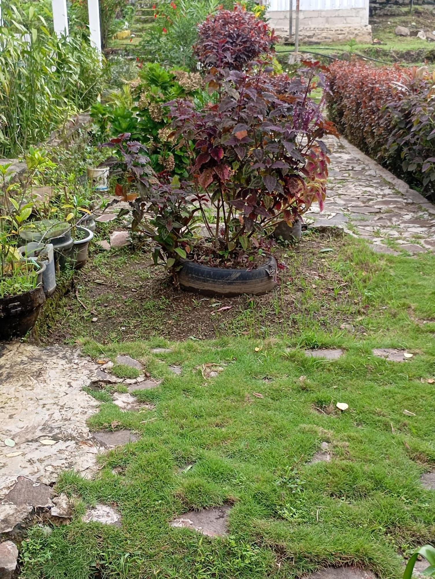 קלימוטו Hidayah Homestay מראה חיצוני תמונה